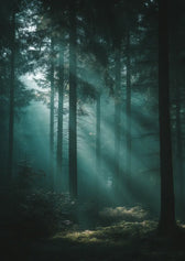 Metallbild - "Silence Inside"