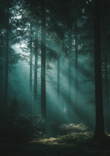 Metallbild - "Silence Inside"