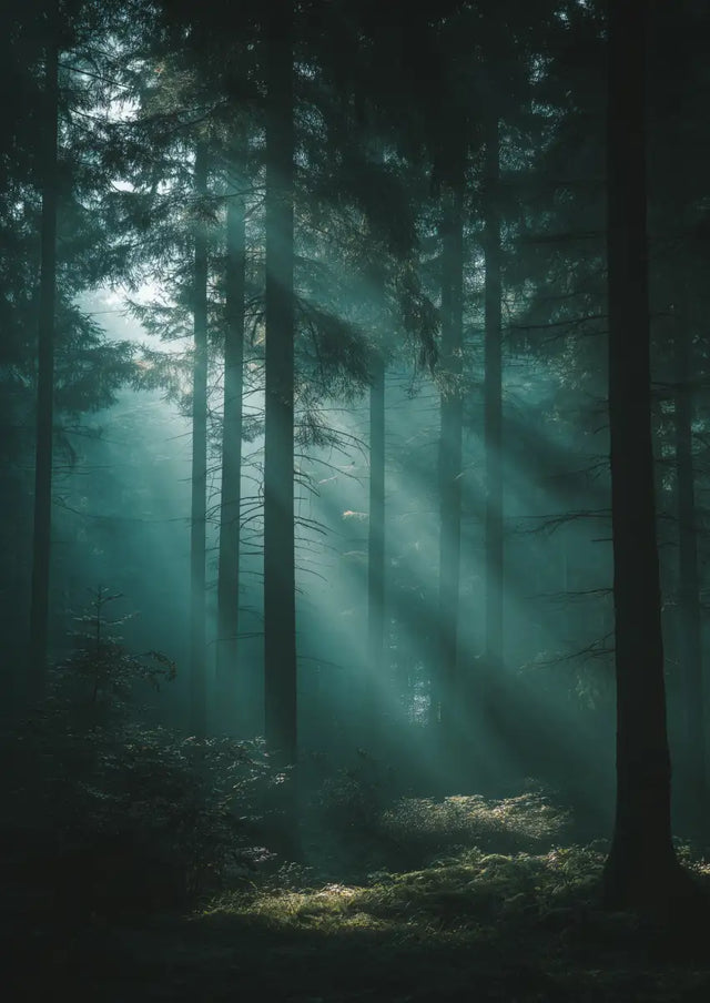 Metallbild - "Silence Inside"