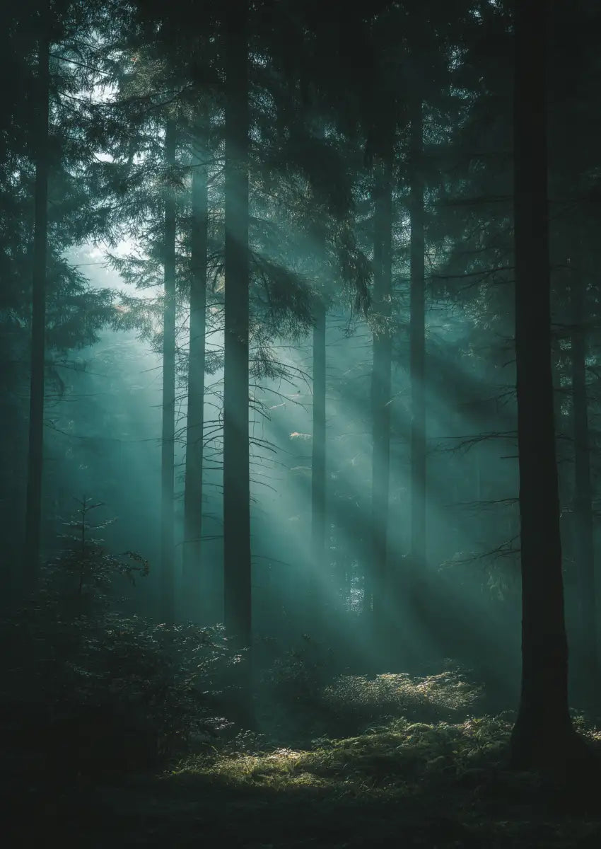 Metallbild - "Silence Inside"